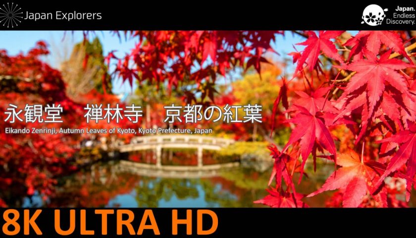 動画で国内旅行　京都府　永観堂禅林寺　Eikando, Kyoto