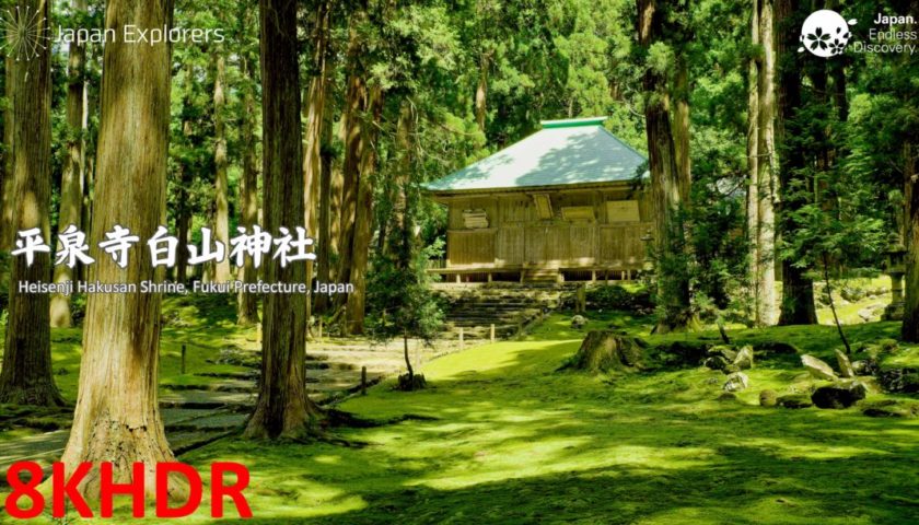 動画で国内旅行　福井県　苔の名所　平泉寺白山神社, Heisenji Hakusan Shrine, Fukui
