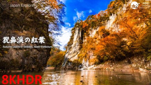 岩手県の絶景紅葉名所 猊鼻渓舟下りの紅葉 Autumn Leaves in Geibikei